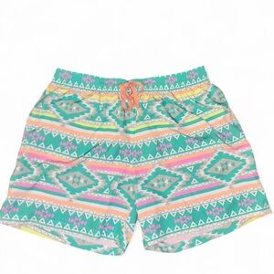 Chubbies Teal and Pink Geometric Shorts
